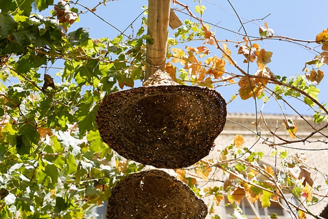 Chiraz-Grand bazar-030